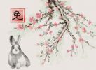 1999年属兔的今年多大？2023年98虎多大？