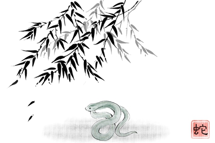 1965年属蛇人的灾难年龄 65年蛇女的婚姻与命运