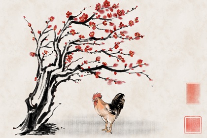 属鸡的与哪些属相相生相克 93年属鸡的姻缘桃花在哪年