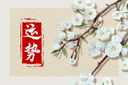 属相每月运程解析 属蛇的2024年12月运势走势分析