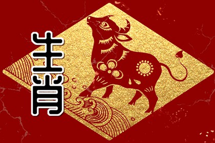 属牛男生今年的桃花运怎么样2024 后势可期