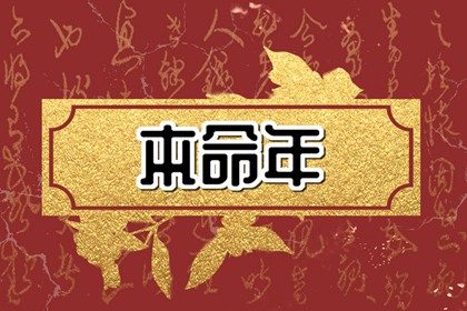 本命年龙带什么生肖运气好 能化解不利影响