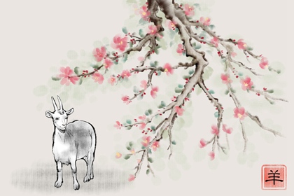 2024年春节生肖羊桃花运解析 属羊人桃花位在哪里